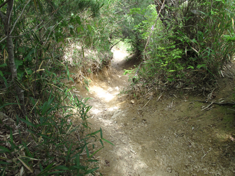 20140602hike (325)